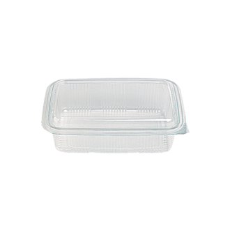CONTAINER PET 500ml ΜΘΚ ΔΙΑΦΑΝΌ 22 100Τ 207*142*45 (ΠΑΡ/ΜΟ)