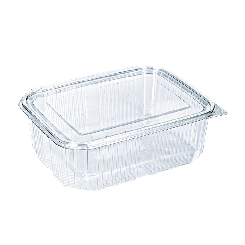 CONTAINER ECO NEW PET 2000ml 10 100Τ 225*173*74 (ΠΑΡ/ΜΟ)