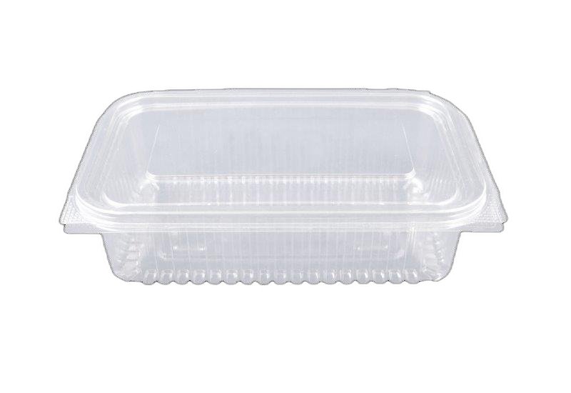CONTAINER ECO NEW PET 750ml 06 100Τ 195*130*55 (ΠΑΡ/ΜΟ)